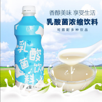 大拇指乳酸菌酸原味濃縮益生菌奶茶店專(zhuān)用